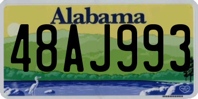 AL license plate 48AJ993
