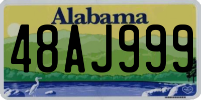 AL license plate 48AJ999