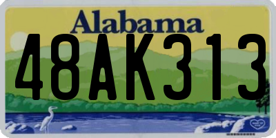 AL license plate 48AK313
