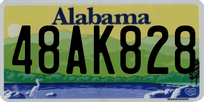 AL license plate 48AK828