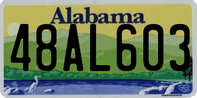 AL license plate 48AL603