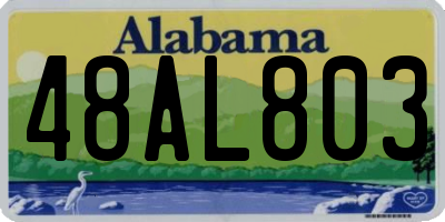 AL license plate 48AL803