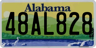AL license plate 48AL828