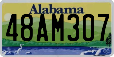 AL license plate 48AM307