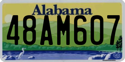 AL license plate 48AM607
