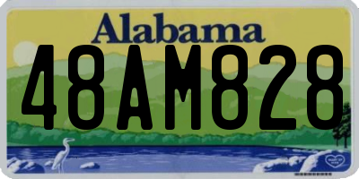 AL license plate 48AM828