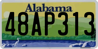 AL license plate 48AP313
