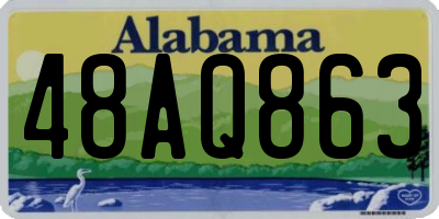 AL license plate 48AQ863