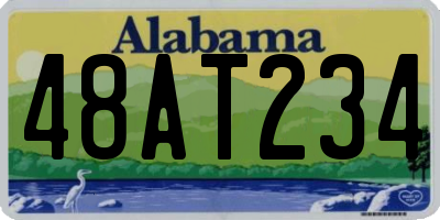 AL license plate 48AT234
