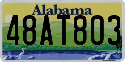 AL license plate 48AT803