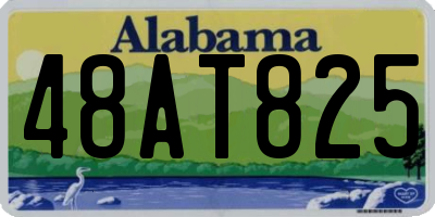 AL license plate 48AT825