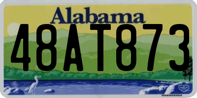 AL license plate 48AT873