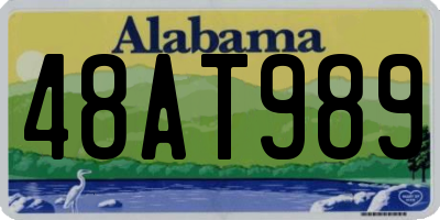 AL license plate 48AT989