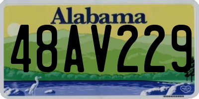 AL license plate 48AV229