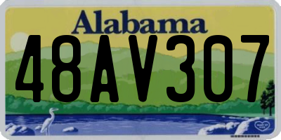 AL license plate 48AV307