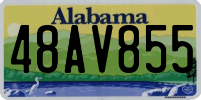 AL license plate 48AV855