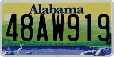 AL license plate 48AW919