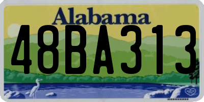 AL license plate 48BA313