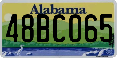 AL license plate 48BC065