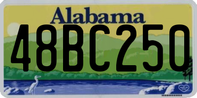 AL license plate 48BC250