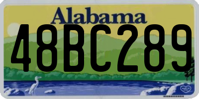 AL license plate 48BC289