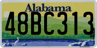 AL license plate 48BC313