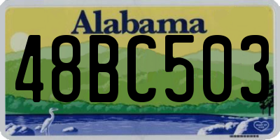 AL license plate 48BC503