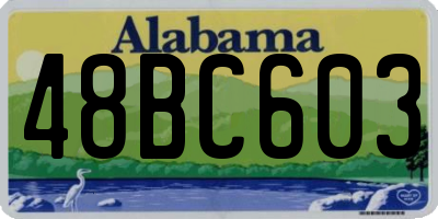 AL license plate 48BC603
