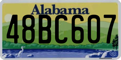 AL license plate 48BC607