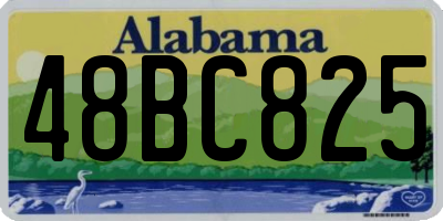 AL license plate 48BC825