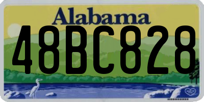 AL license plate 48BC828