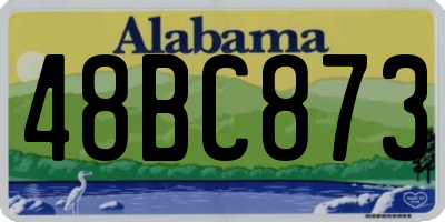 AL license plate 48BC873