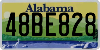 AL license plate 48BE828