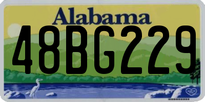 AL license plate 48BG229