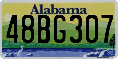 AL license plate 48BG307
