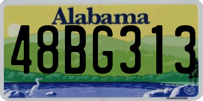 AL license plate 48BG313