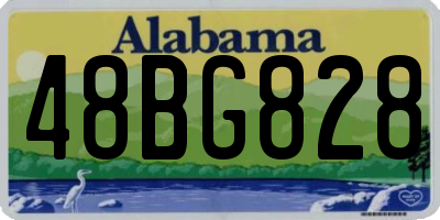 AL license plate 48BG828