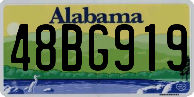 AL license plate 48BG919