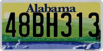 AL license plate 48BH313