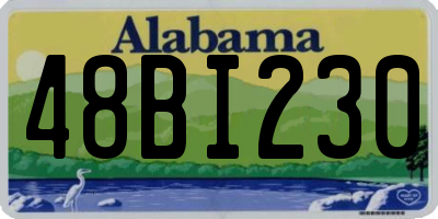 AL license plate 48BI230