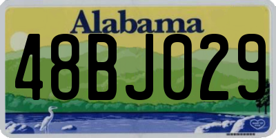 AL license plate 48BJ029