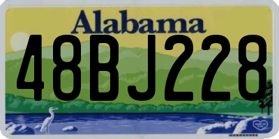 AL license plate 48BJ228