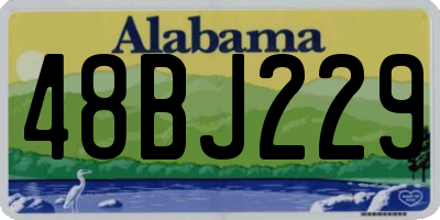 AL license plate 48BJ229