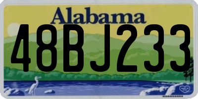 AL license plate 48BJ233