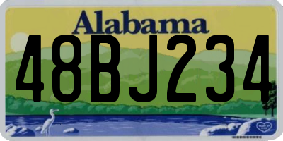 AL license plate 48BJ234