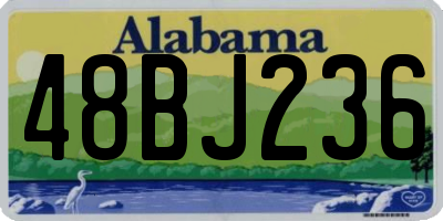 AL license plate 48BJ236