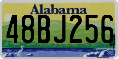 AL license plate 48BJ256