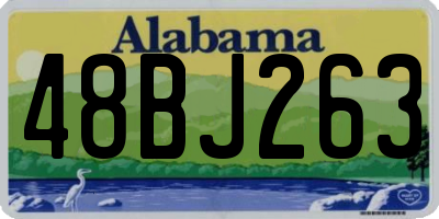 AL license plate 48BJ263