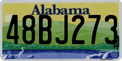 AL license plate 48BJ273