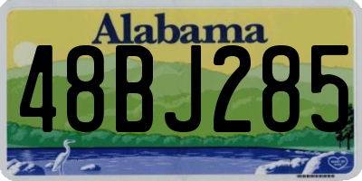AL license plate 48BJ285